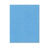 Blue Bristol Board